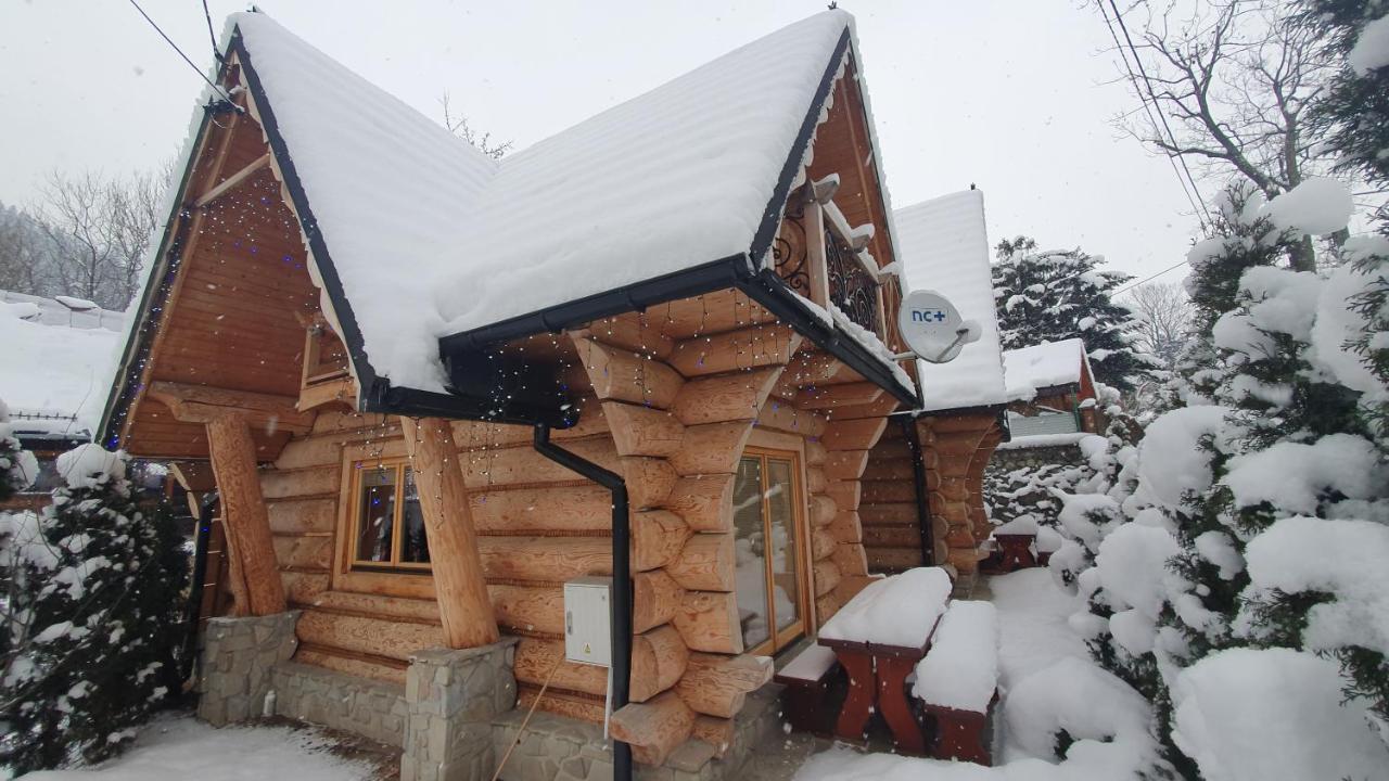 Swarne Domki Zakopane Exteriör bild